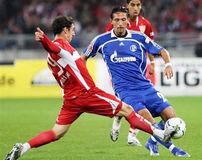 新无疑为其 新无疑为其